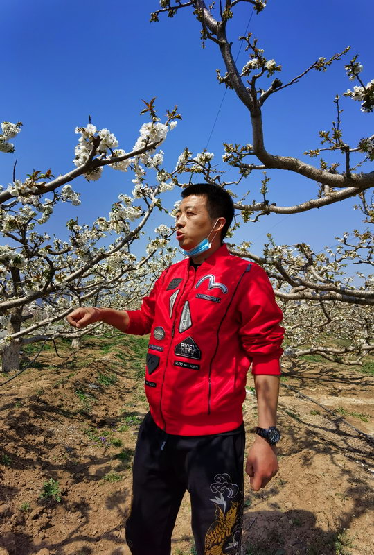 北京：景区有序恢复开放，采摘园草莓正红-新华图闻网