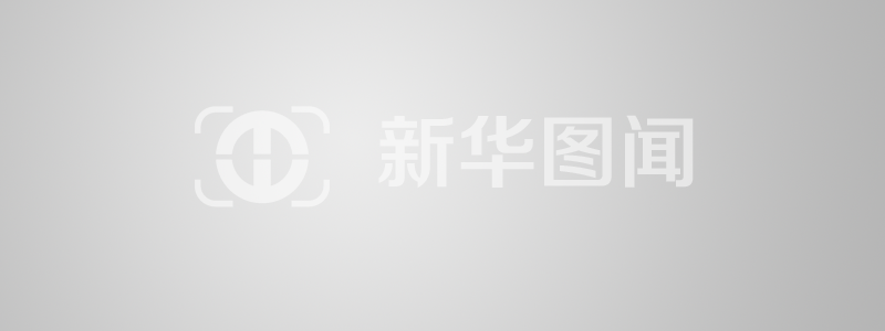 2026绿色农业产业创新茶产业论坛在京举行