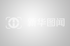 澄怀悟道笔墨香 公益传情向基层 | 书法展圆满收官