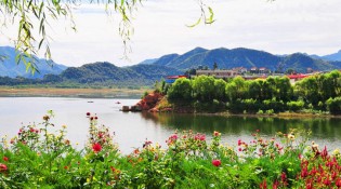 京东,这把小提琴(外三章)