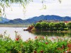 京东,这把小提琴(外三章)